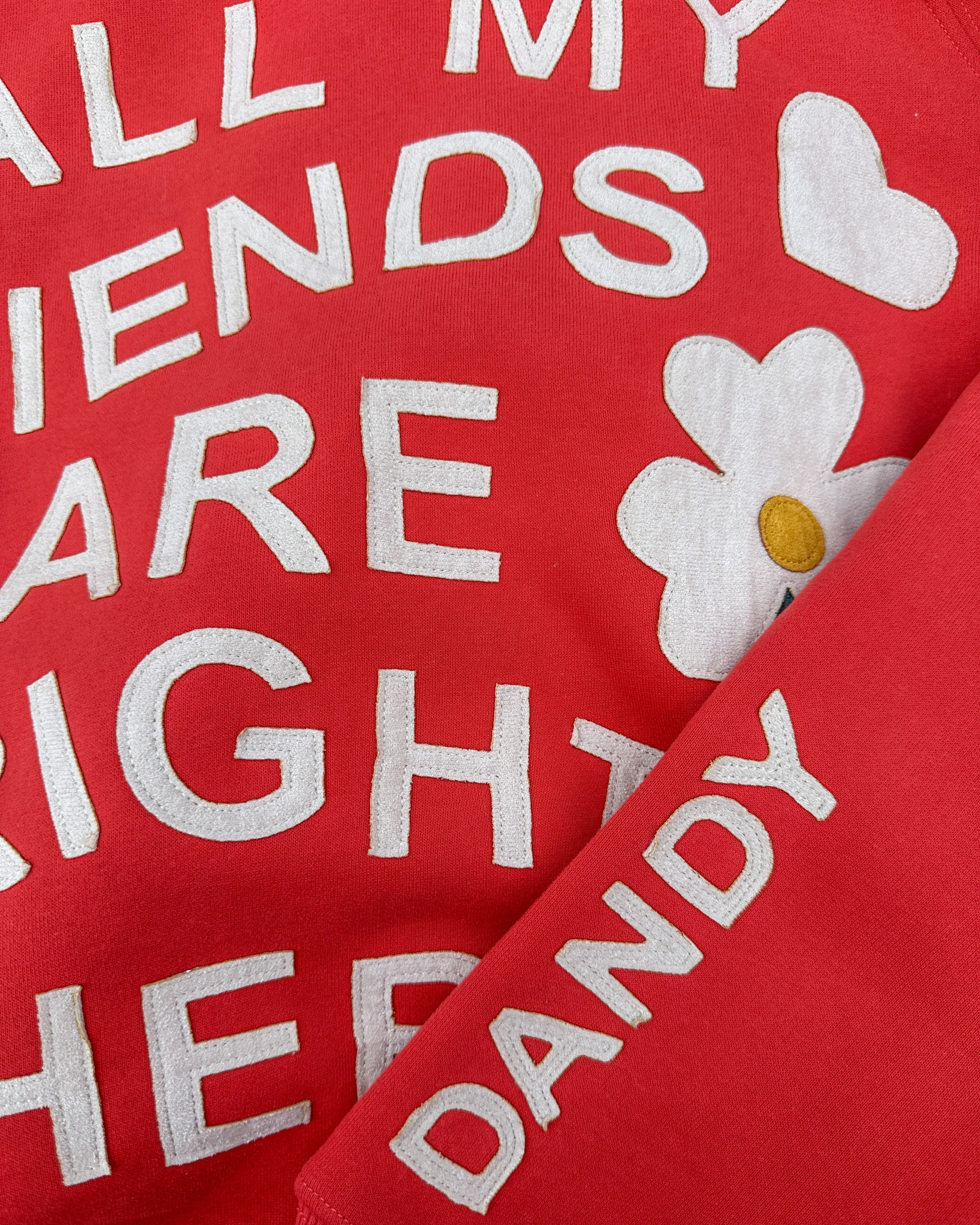All my Friends Oversized Lux Hoodie in Red